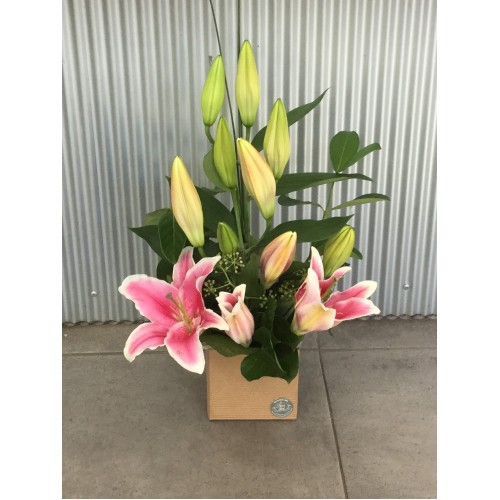 Oriental Lily Flowers OnlineOrder Pink Oriental Lily Flowers Online
